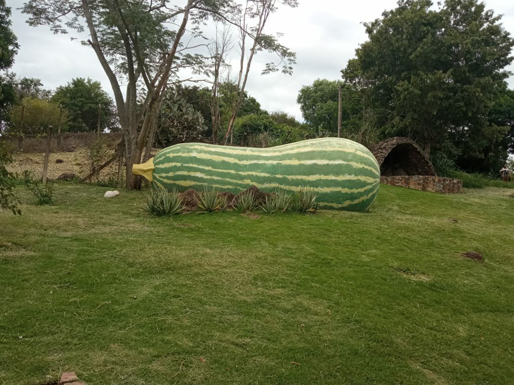 Boca do Leao - Cultural Center-Aguas da Prata必去景点