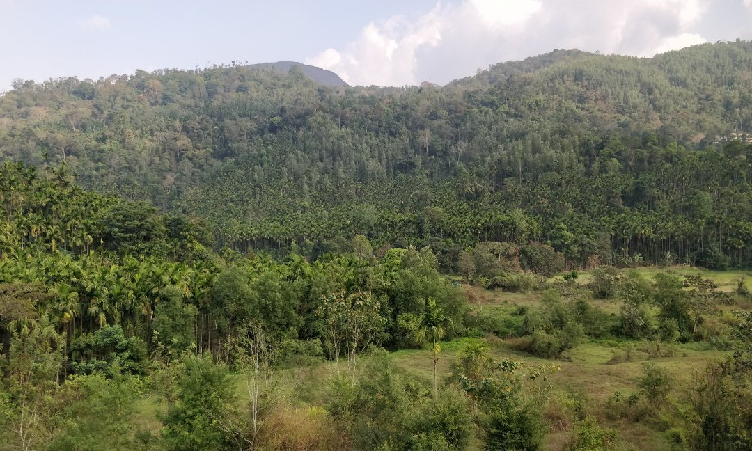 Sri Annapurneshwari Temple景点图片