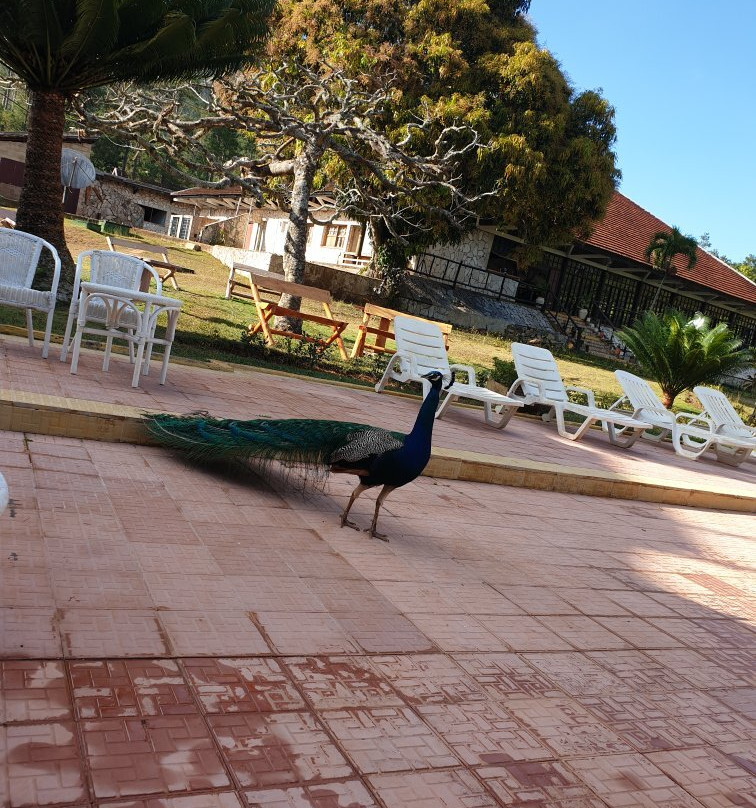 Villa Pinares de Mayari主图