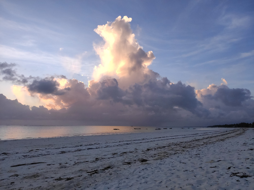 Mchanga Zanzibar主图