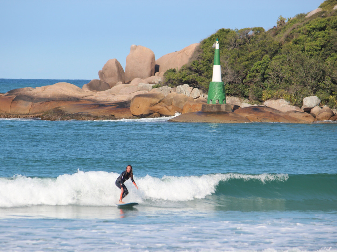 Sea Wolf Surf School景点图片