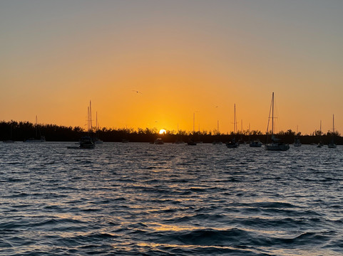 Fort Lauderdale Boat Tours!-劳德代尔堡必去景点