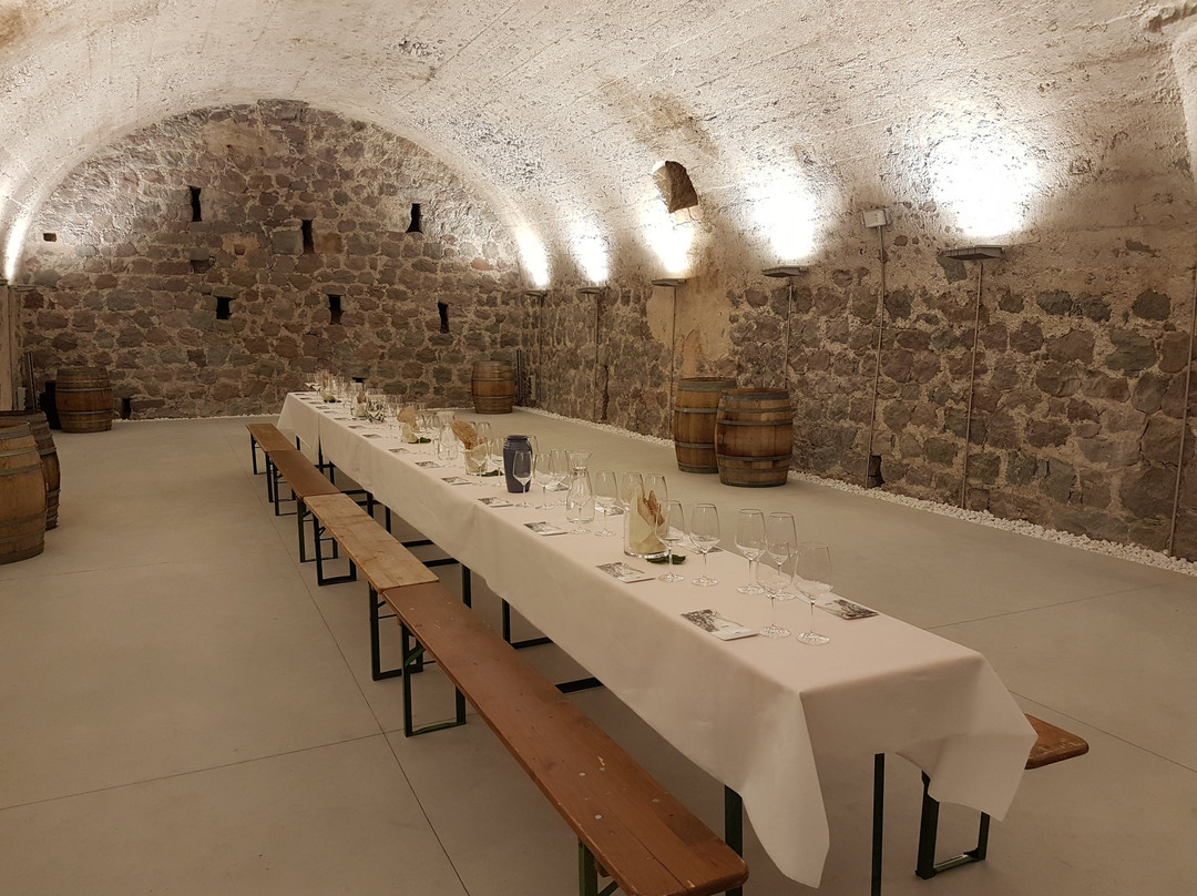 Kellerei Cantina Heiner.-博尔扎诺必去景点