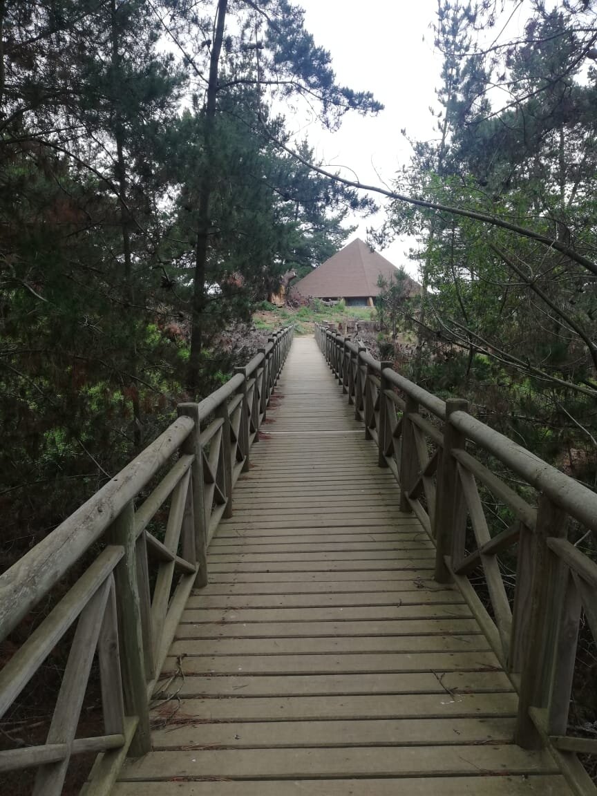 Bosqueluz-家庭/游戏区