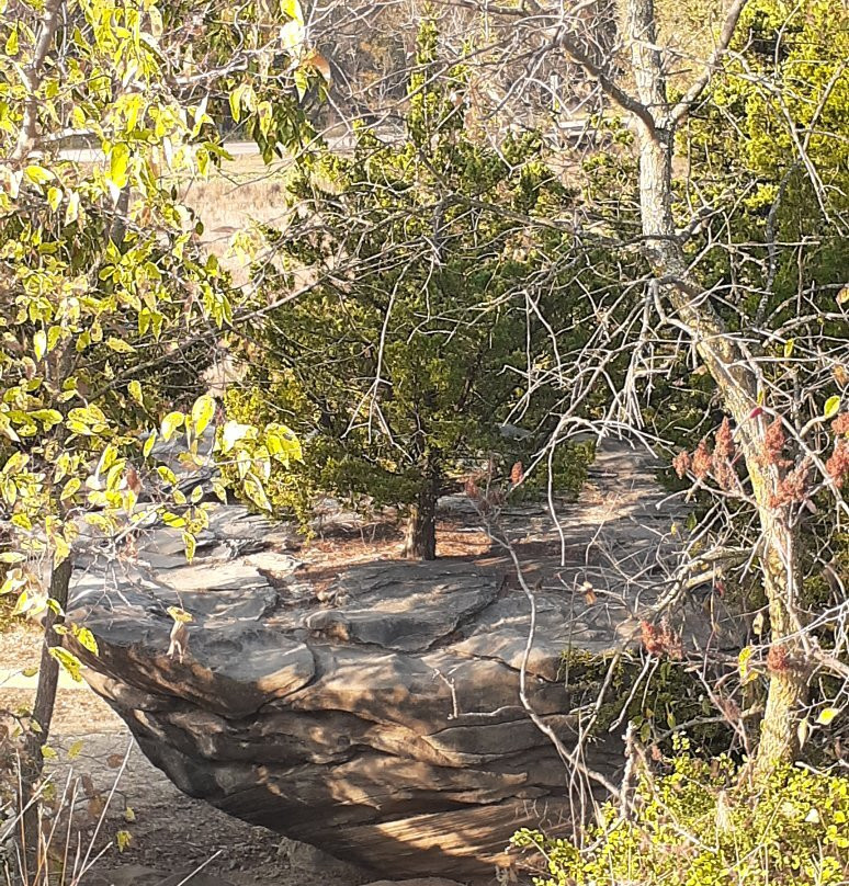 Mushroom Rock State Park-Marquette必去景点