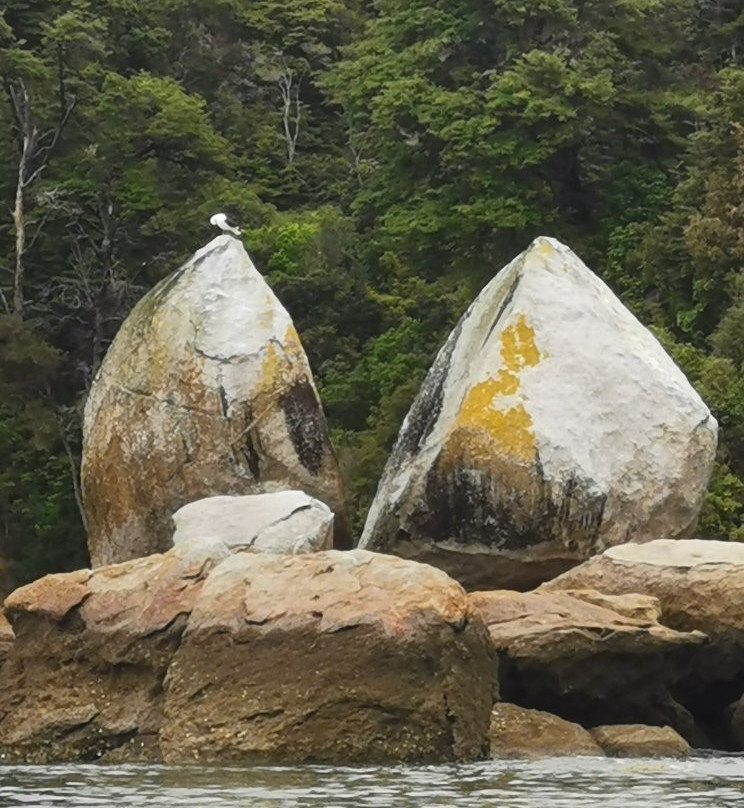 Kaiteriteri Kayaks-凯特里特里必去景点