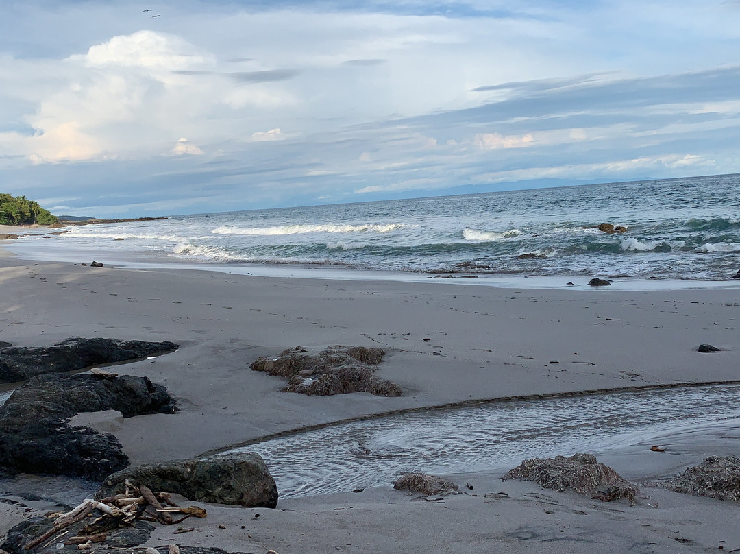 Sano Banano Beachside Hotel主图