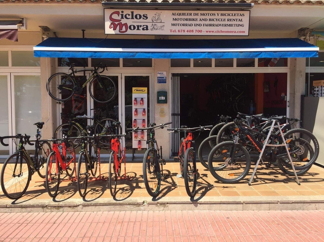 Ciclos Mora景点图片