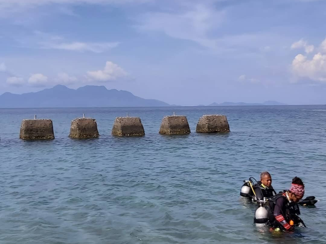 Maumere Dive Journey-Maumere必去景点