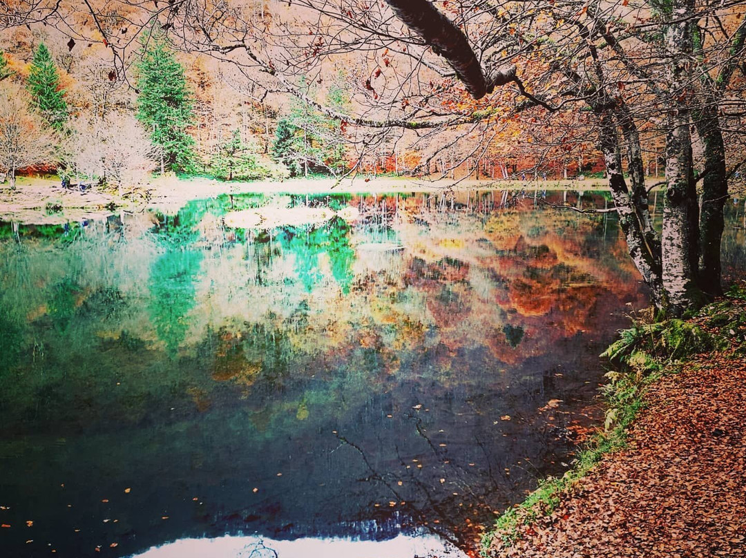 Lac de Bethmale-Bethmale必去景点