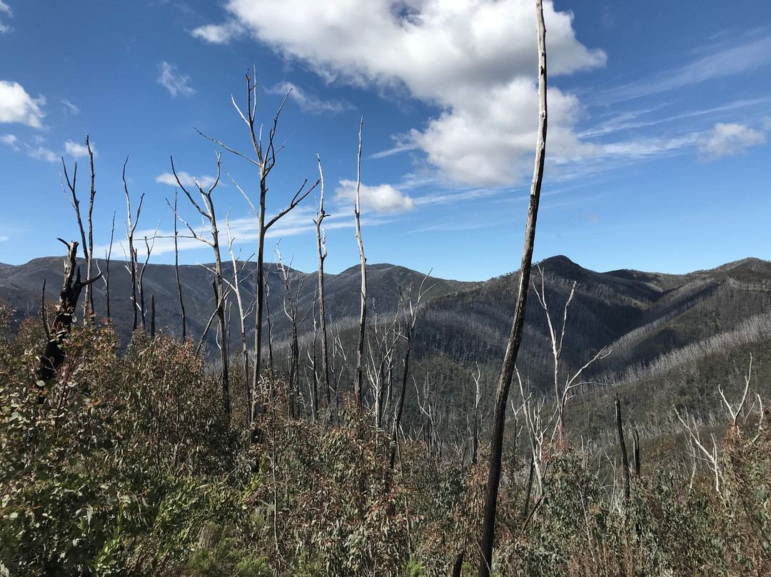 Black Hole-Hotham Heights必去景点