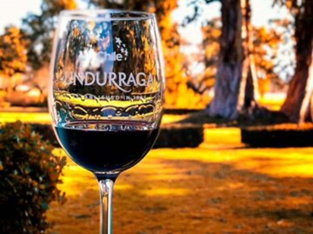 Vina Undurraga景点图片