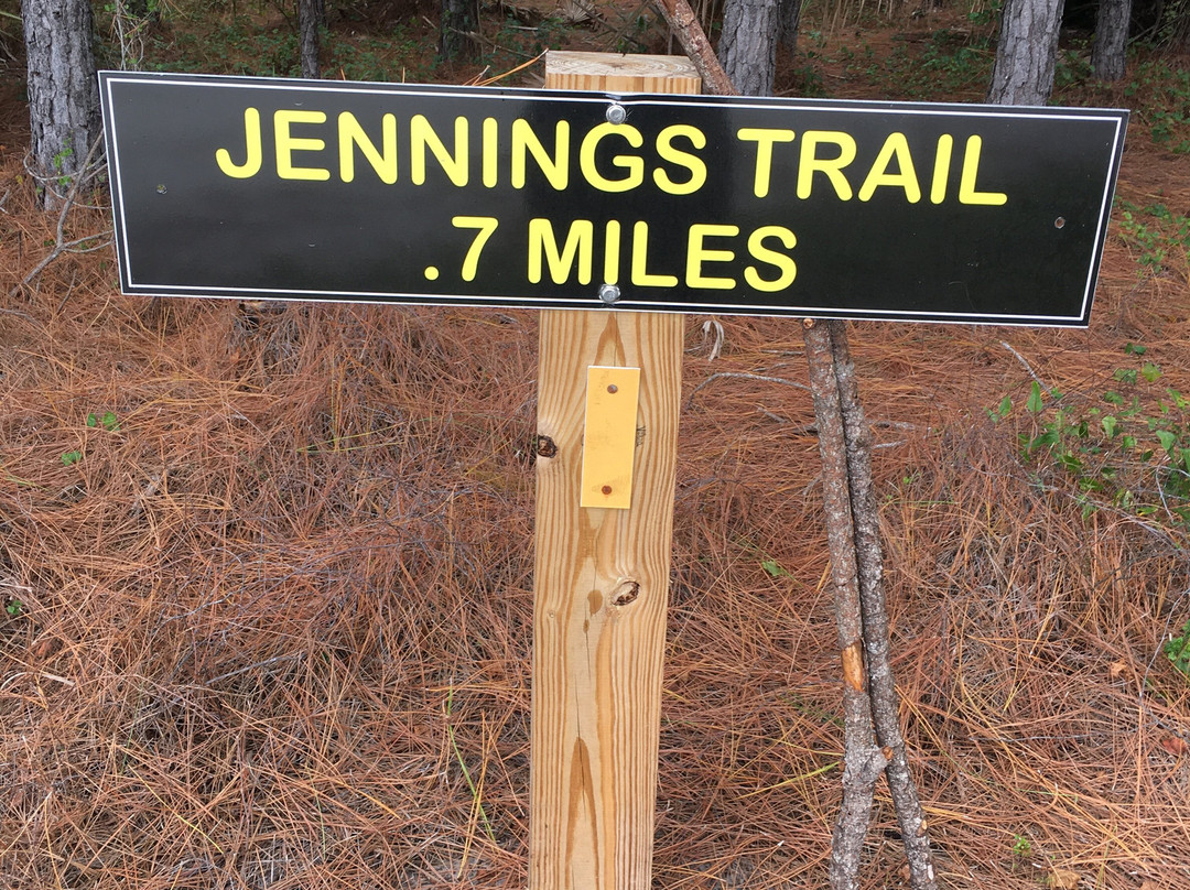Myakka State Forest-恩格尔伍德必去景点