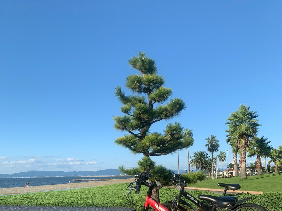 Shiraya Seaside Park-田原市必去景点