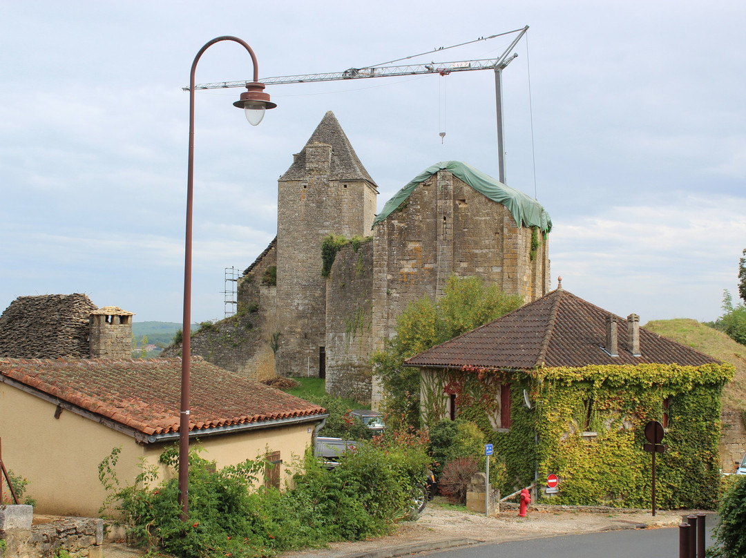 Château de Salignac景点图片