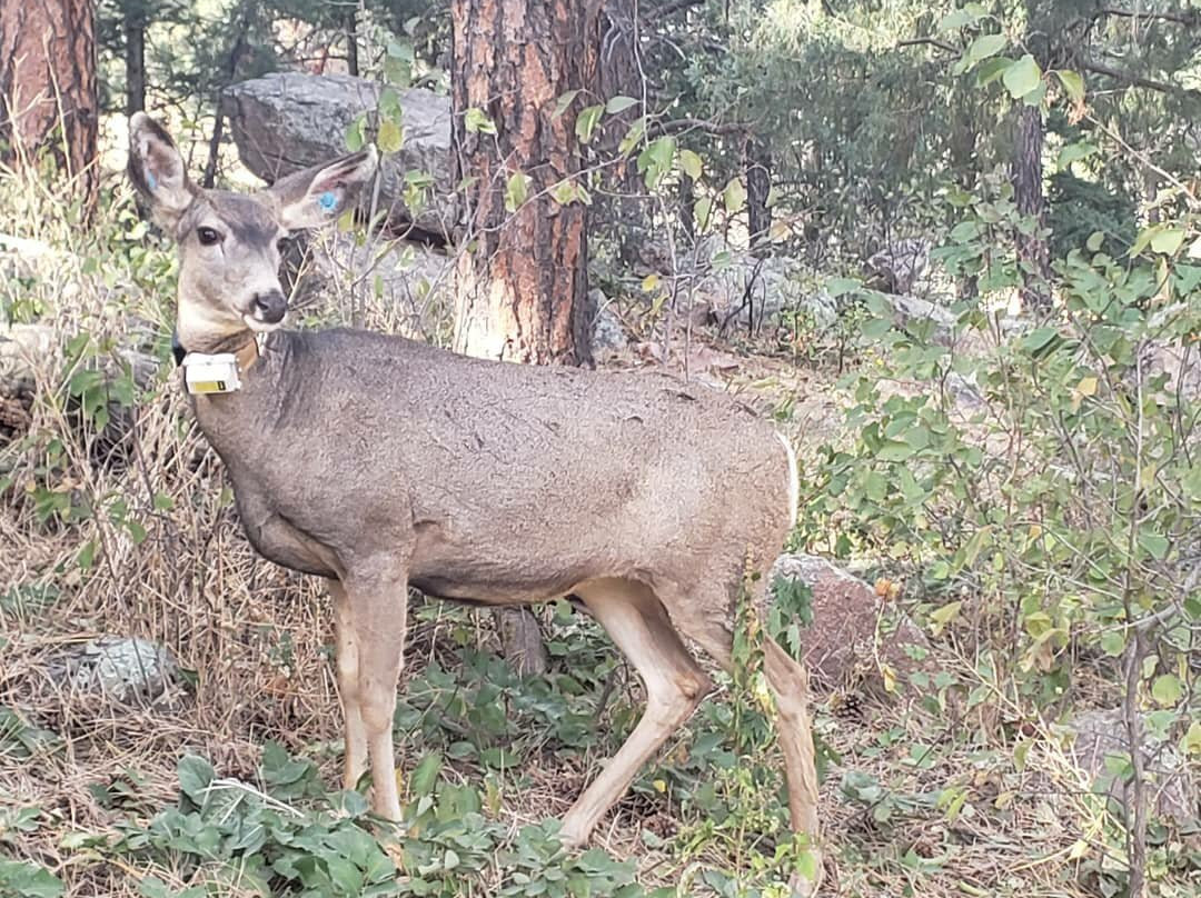 Royal Arch-博尔德必去景点