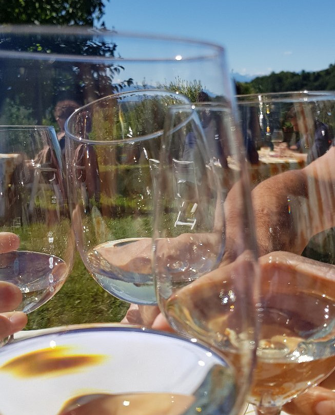 Maurilio Vaira Tenuta del Barone-Narzole必去景点