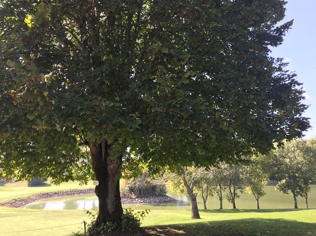 Golf des Vigiers-Monestier必去景点