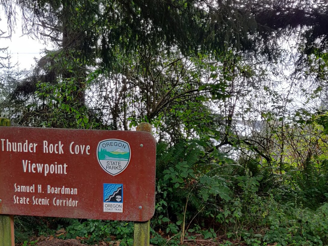 Natural Bridges Viewpoint-布鲁金斯必去景点