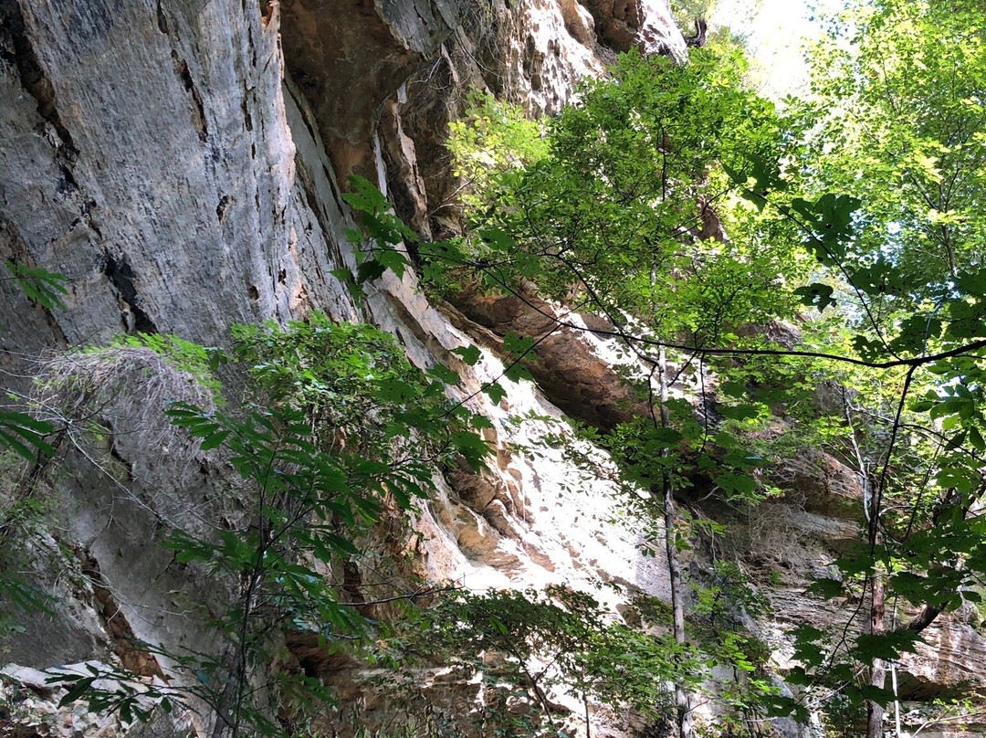 Natural Bridge State Resort Park景点图片