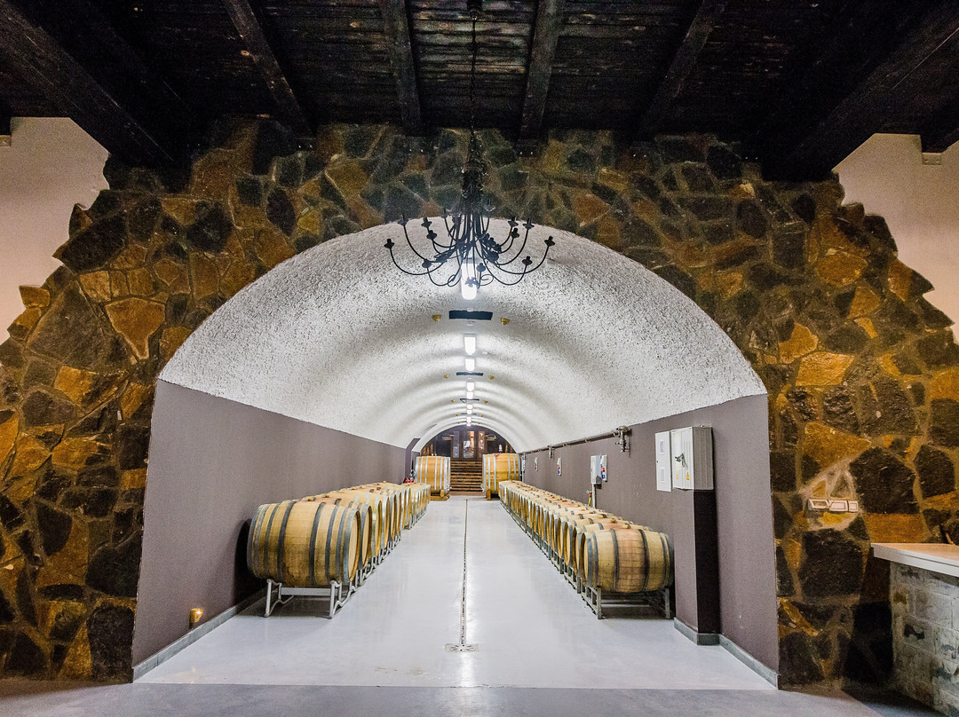 Wine Tasting at Winery Lipovac-Rijeka Crnojevica必去景点