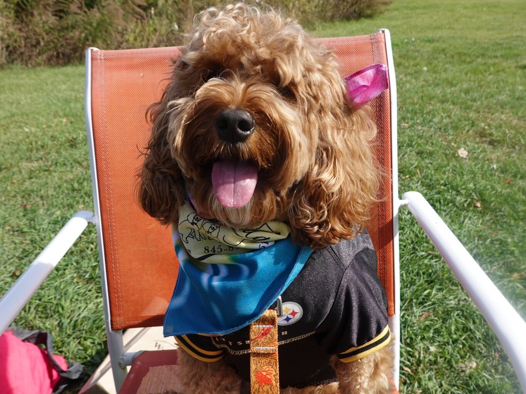 Inn At The Ridge主图