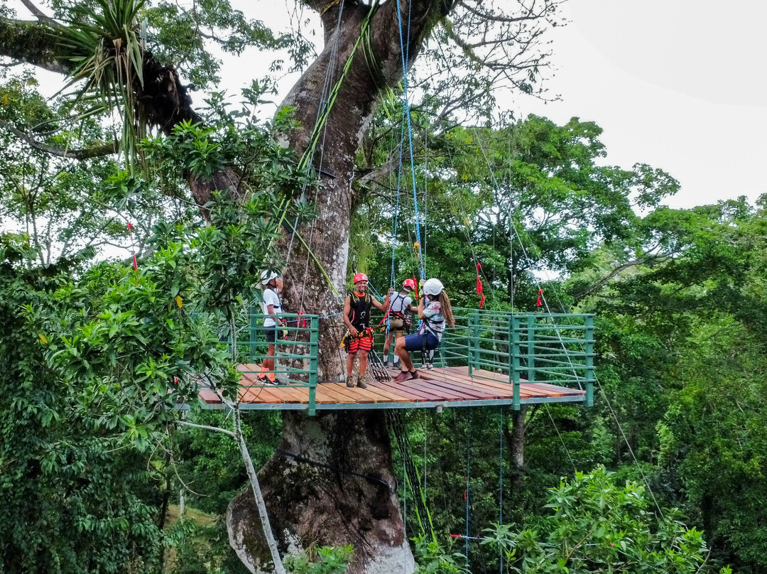 Ceibo Adventure Caribe景点图片