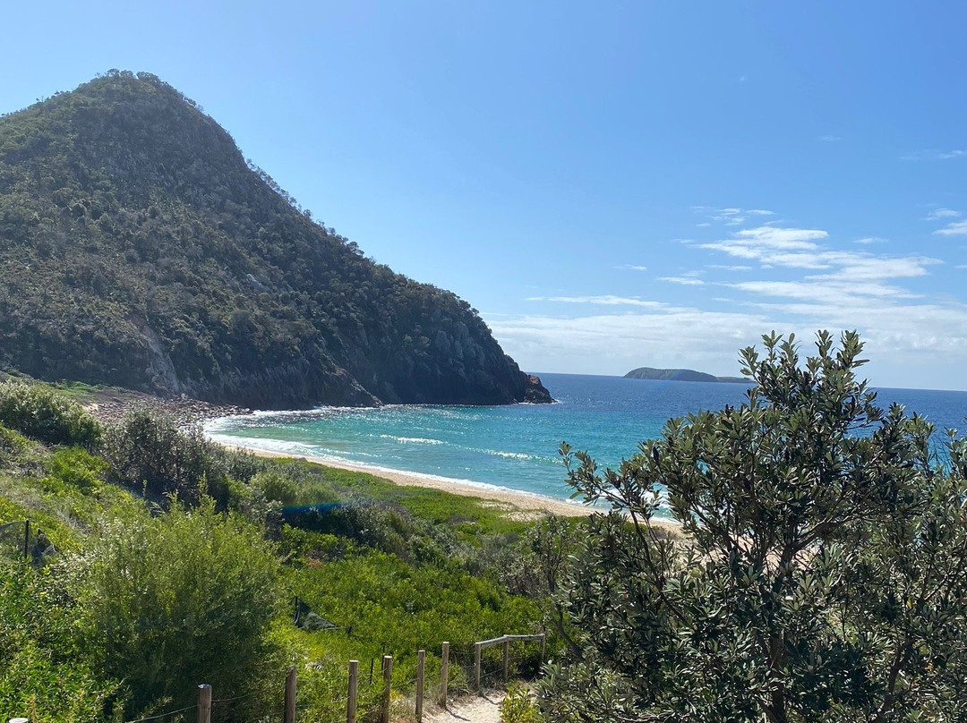 Zenith Beach景点图片