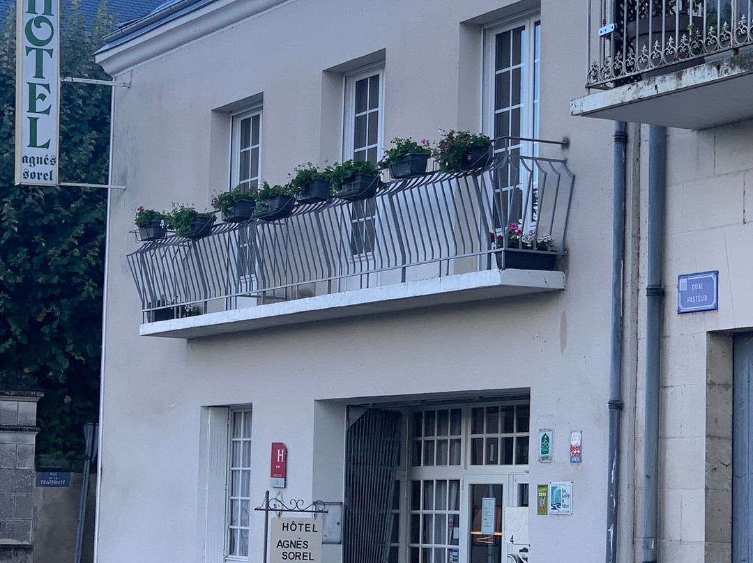 Hotel Agnes Sorel主图