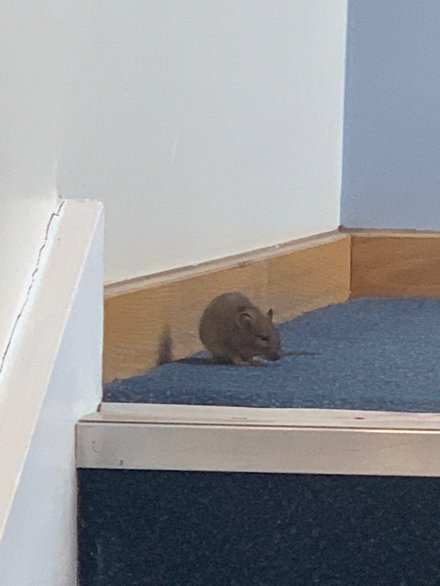 Travelodge Birmingham Perry Barr-浴室