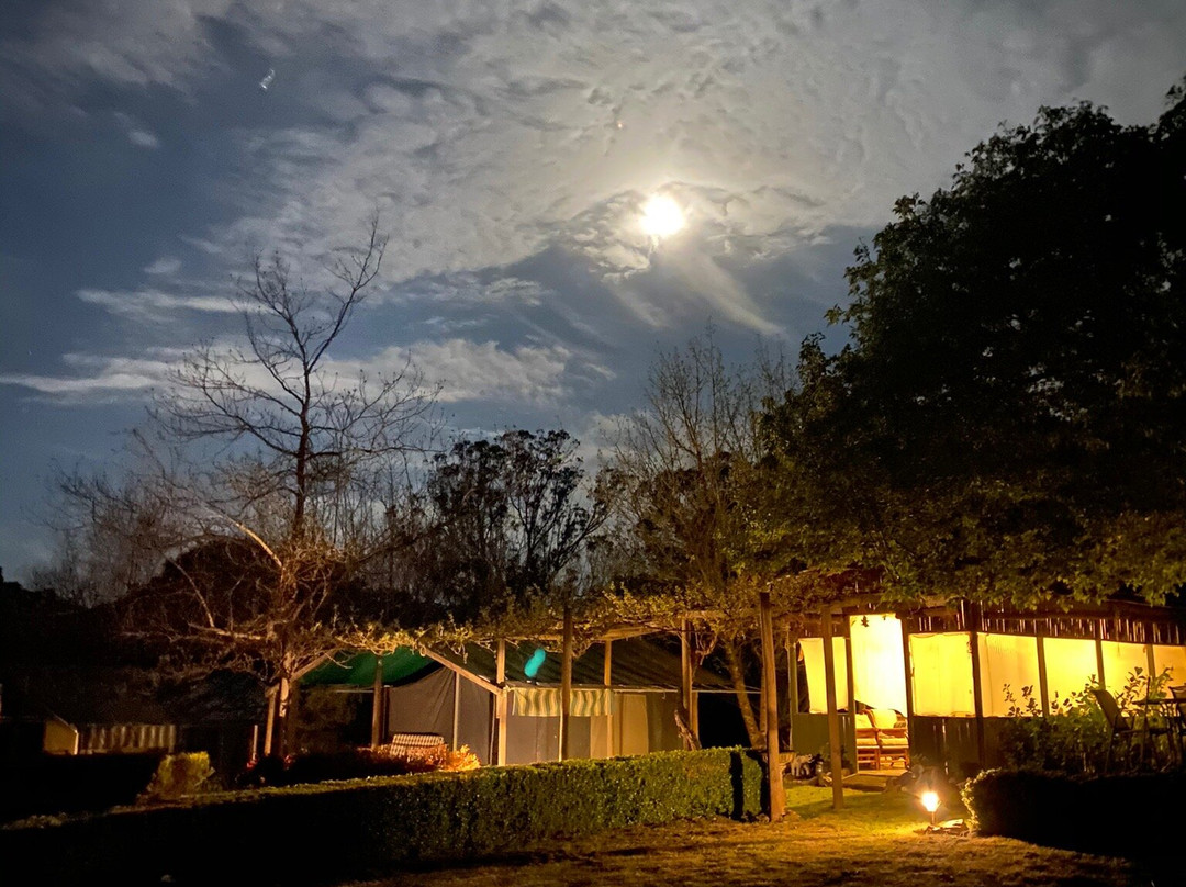 Bharatralia Jungle Camp景点图片