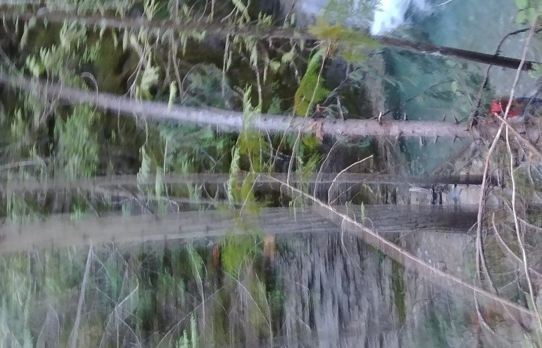 Margaret Falls-Tappen必去景点