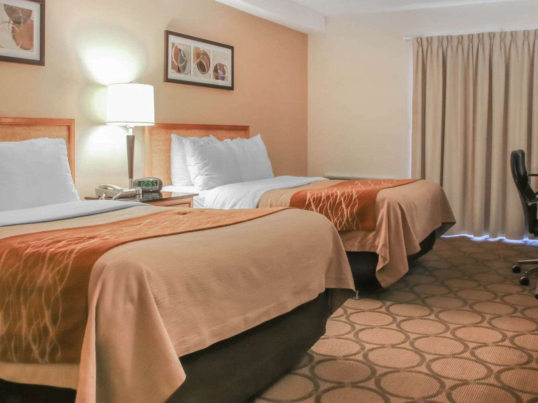 Comfort Inn Swift Current主图