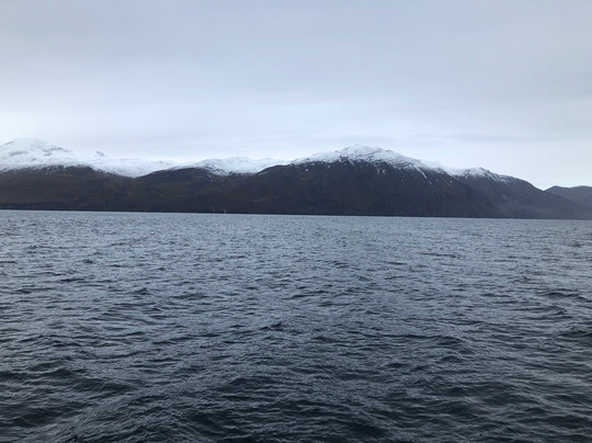 北方航行——胡萨维克观鲸-胡萨维克必去景点