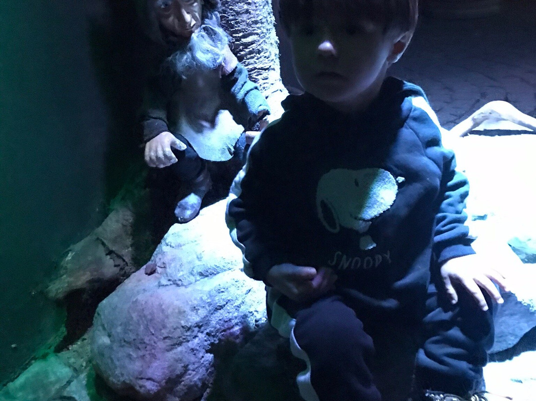 Karkonoskie Tajemnice景点图片