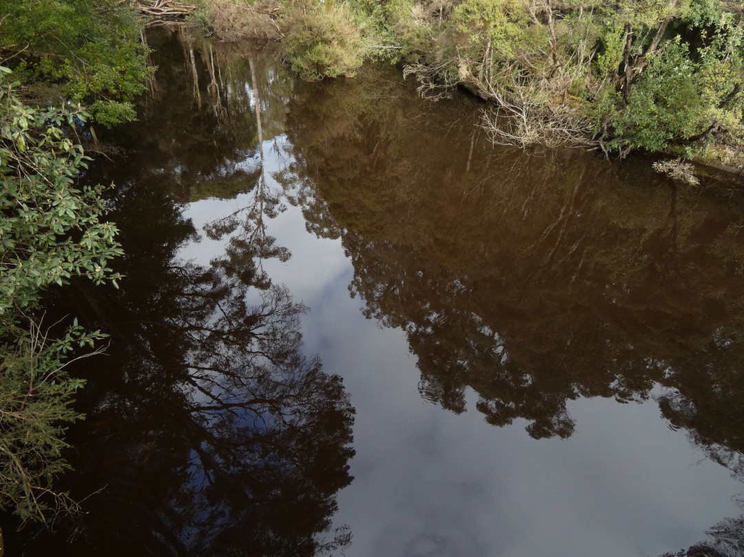 Dip River Forest Reserve景点图片
