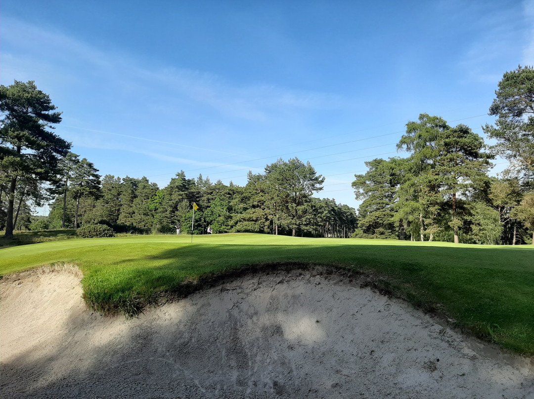 Blackmoor Golf Club景点图片
