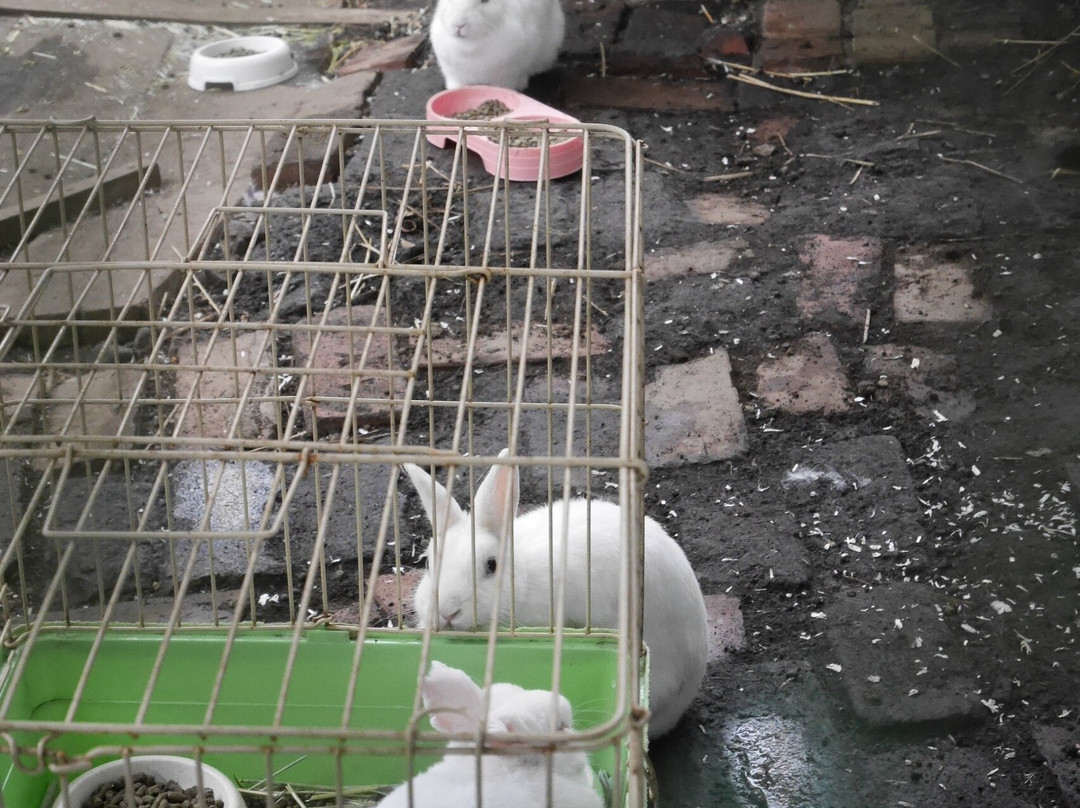 Aso Baien Spa Resort主图