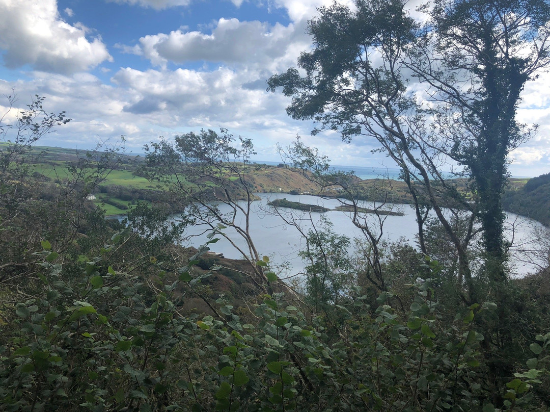 Lough Hyne景点图片