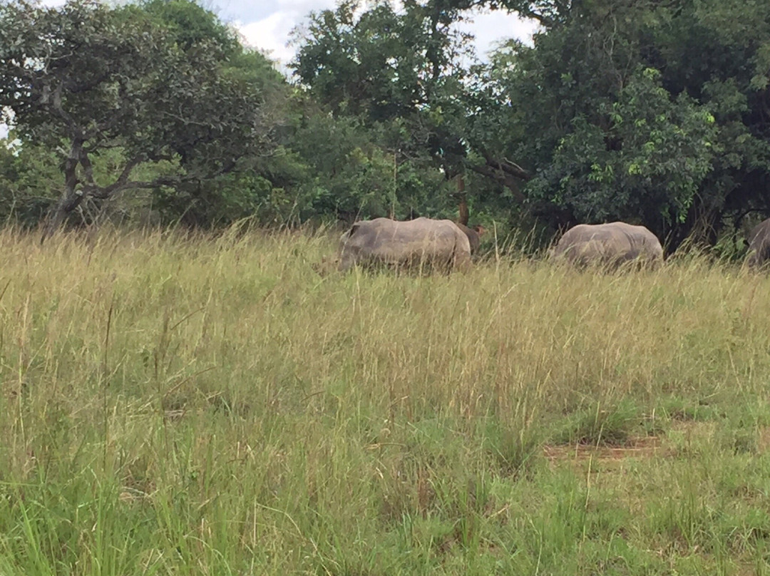 Rhino Fund Uganda-Nakitoma必去景点
