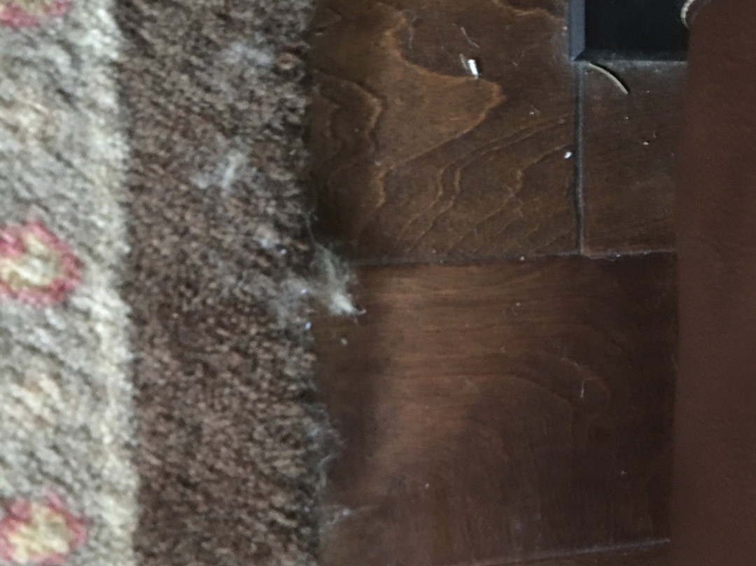 Campbell House主图