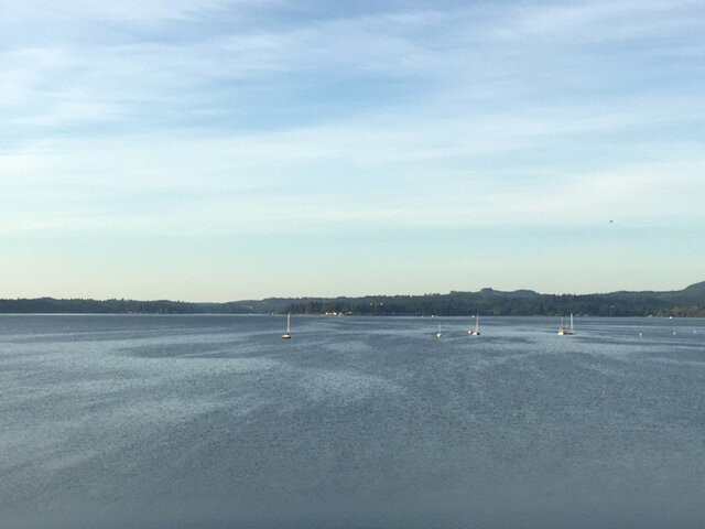 Best Western Plus Silverdale Beach Hotel主图