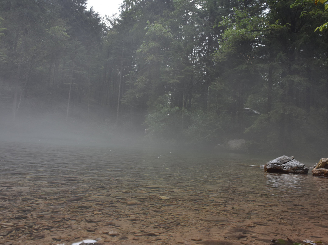 Kamniska Bistrica River-Kamnik必去景点