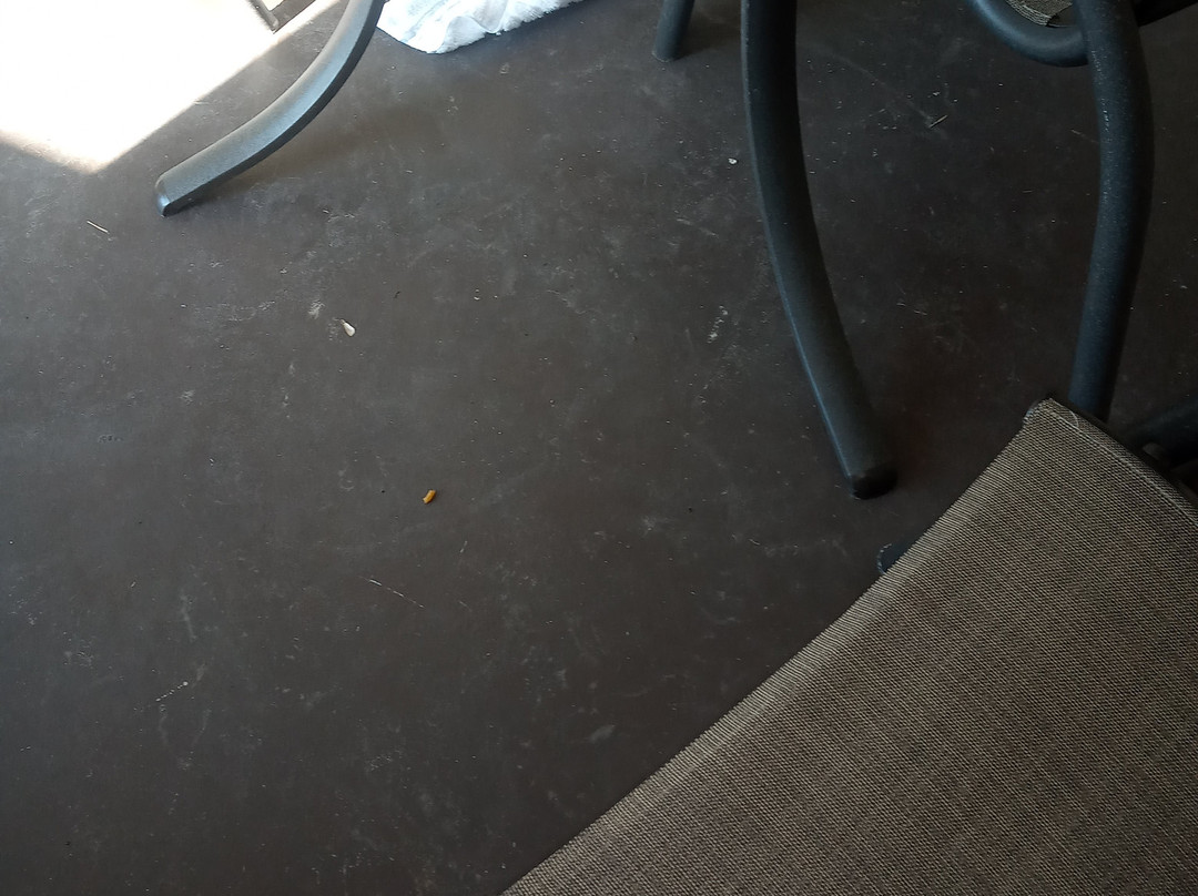 Holiday Inn Express Campbellsville by IHG主图