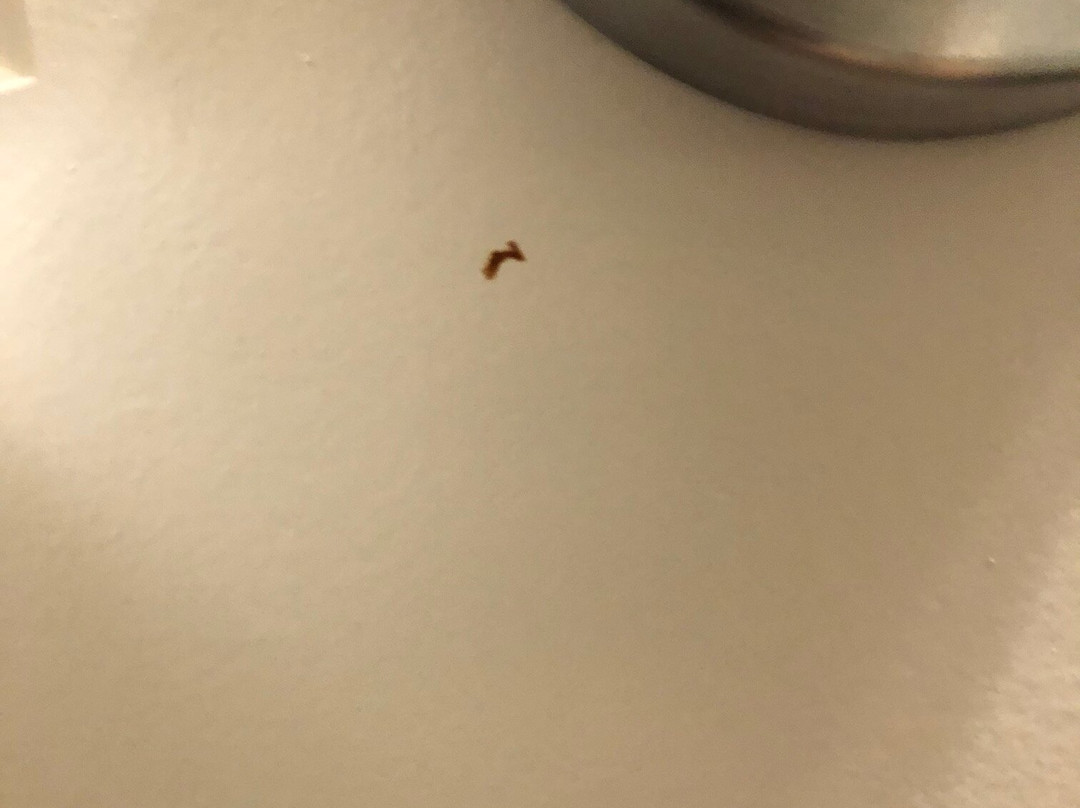 TownePlace Suites by Marriott Twin Falls主图