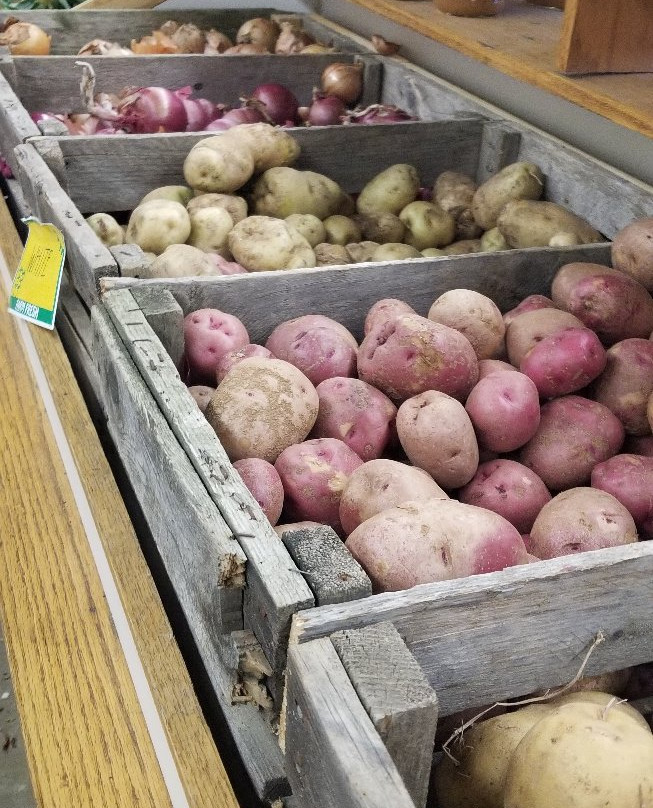 Ochs Orchard景点图片