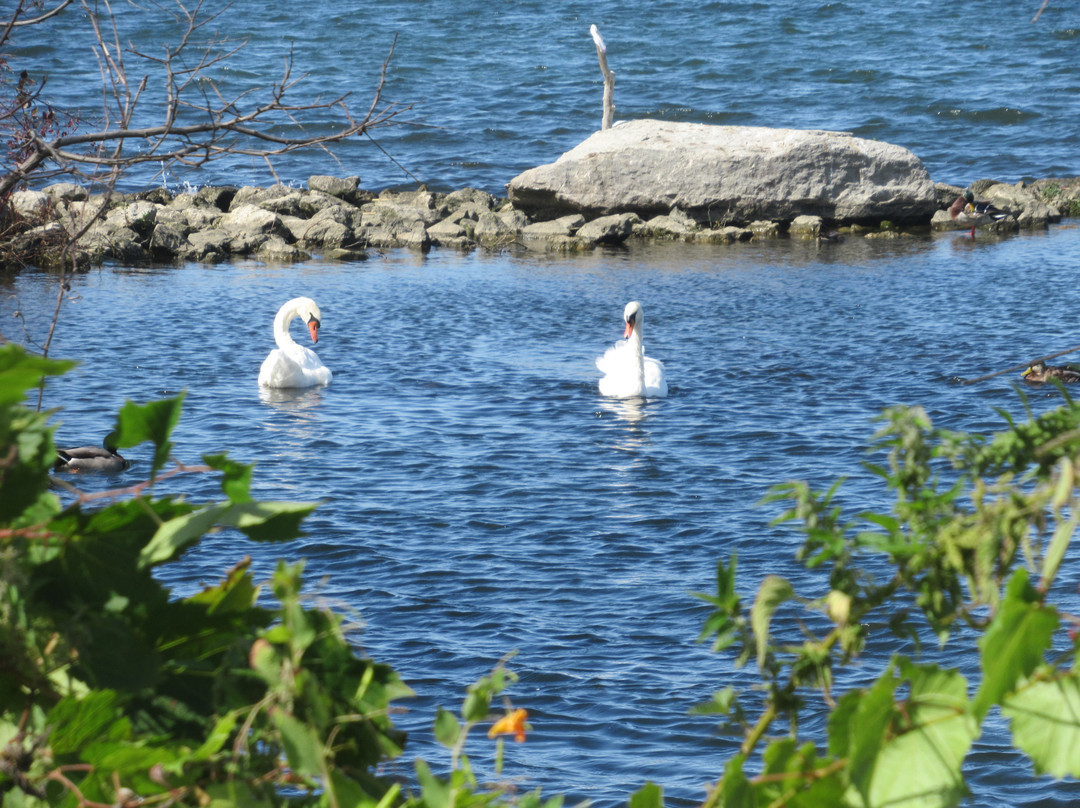 The Collingwood Trails-科林伍德必去景点