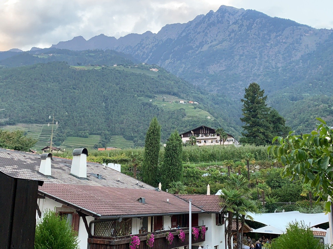 Hotel Muehlbacherhof主图