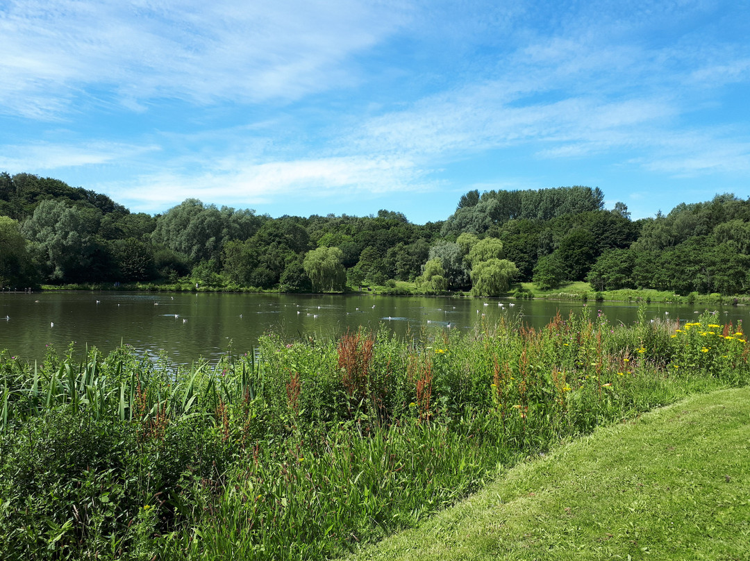 Moses Gate Country Park景点图片