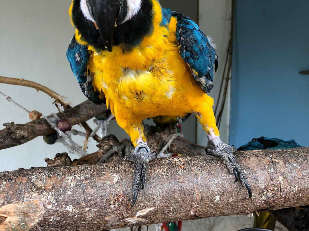 Vogelpark Turnersee-Sankt Primus必去景点